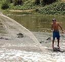 waterlatcapa.jpg