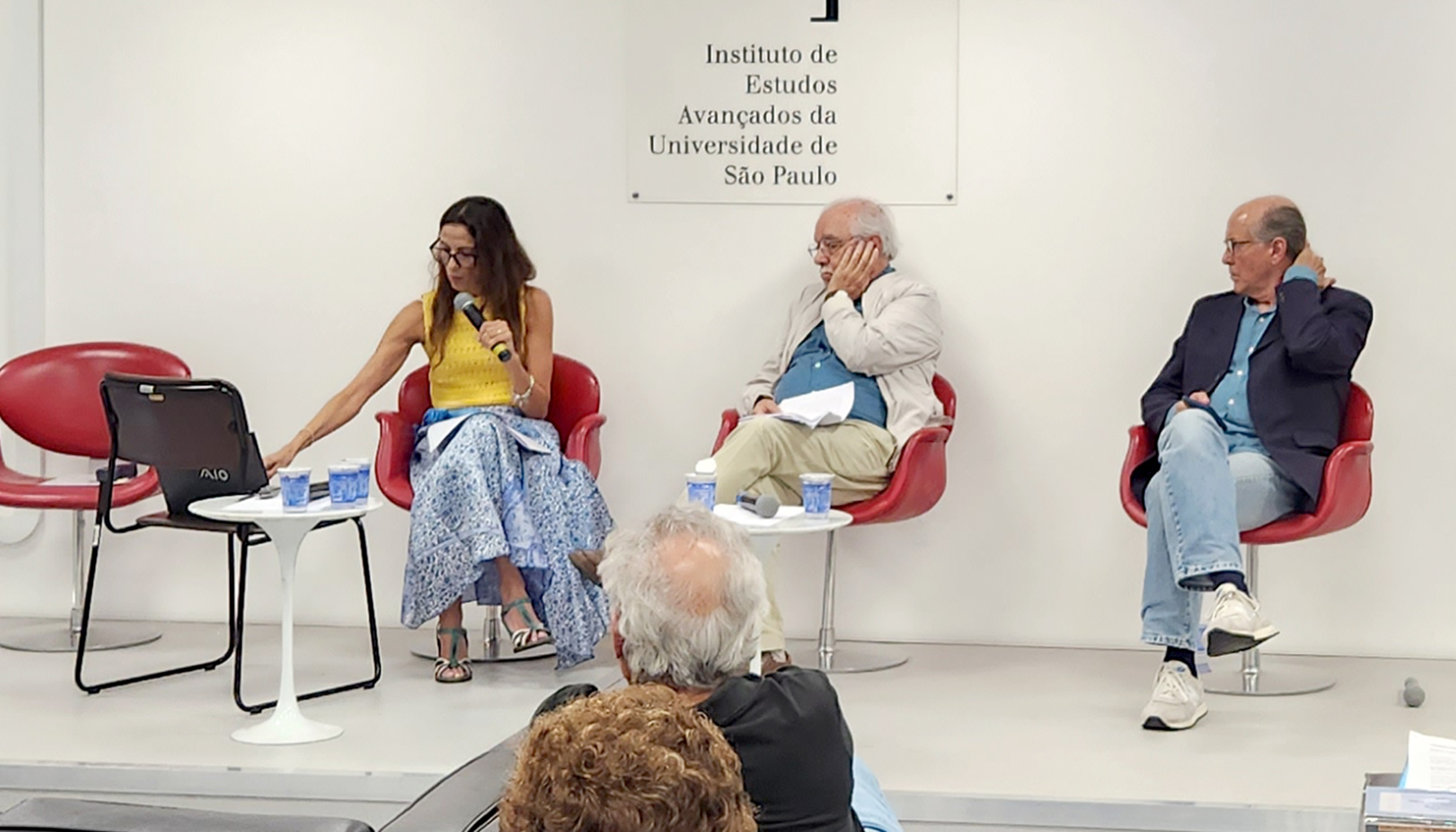 Ana Paula Tavares Magalhães, Luís Carlos de Menezes e Naomar de Almeida Filho