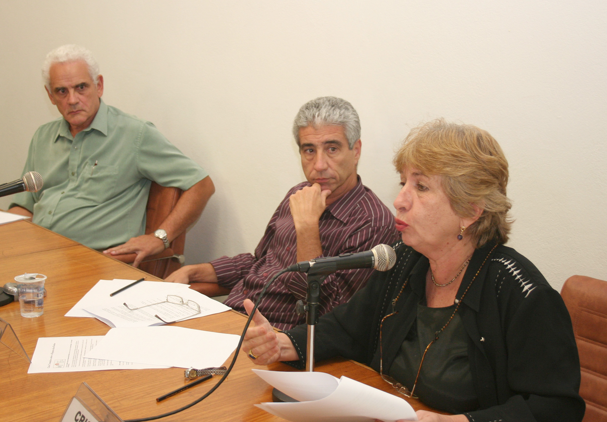 Eleutério Prado, José Eli da Veiga e Cristina Possas