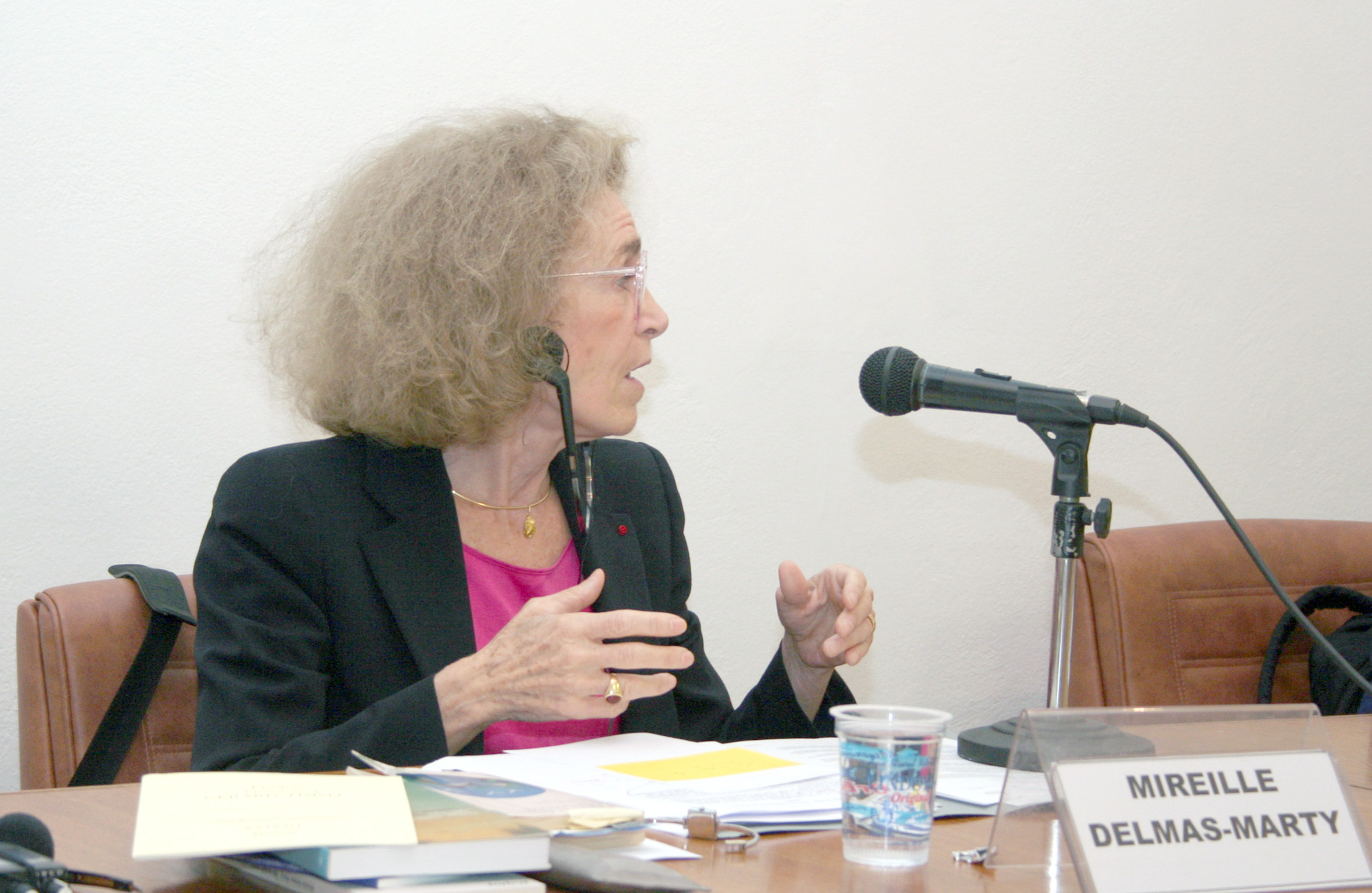 Mireille Delmas-Marty