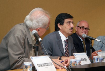 César Ades, Carlos Roberto Azzoni e James T. Wright