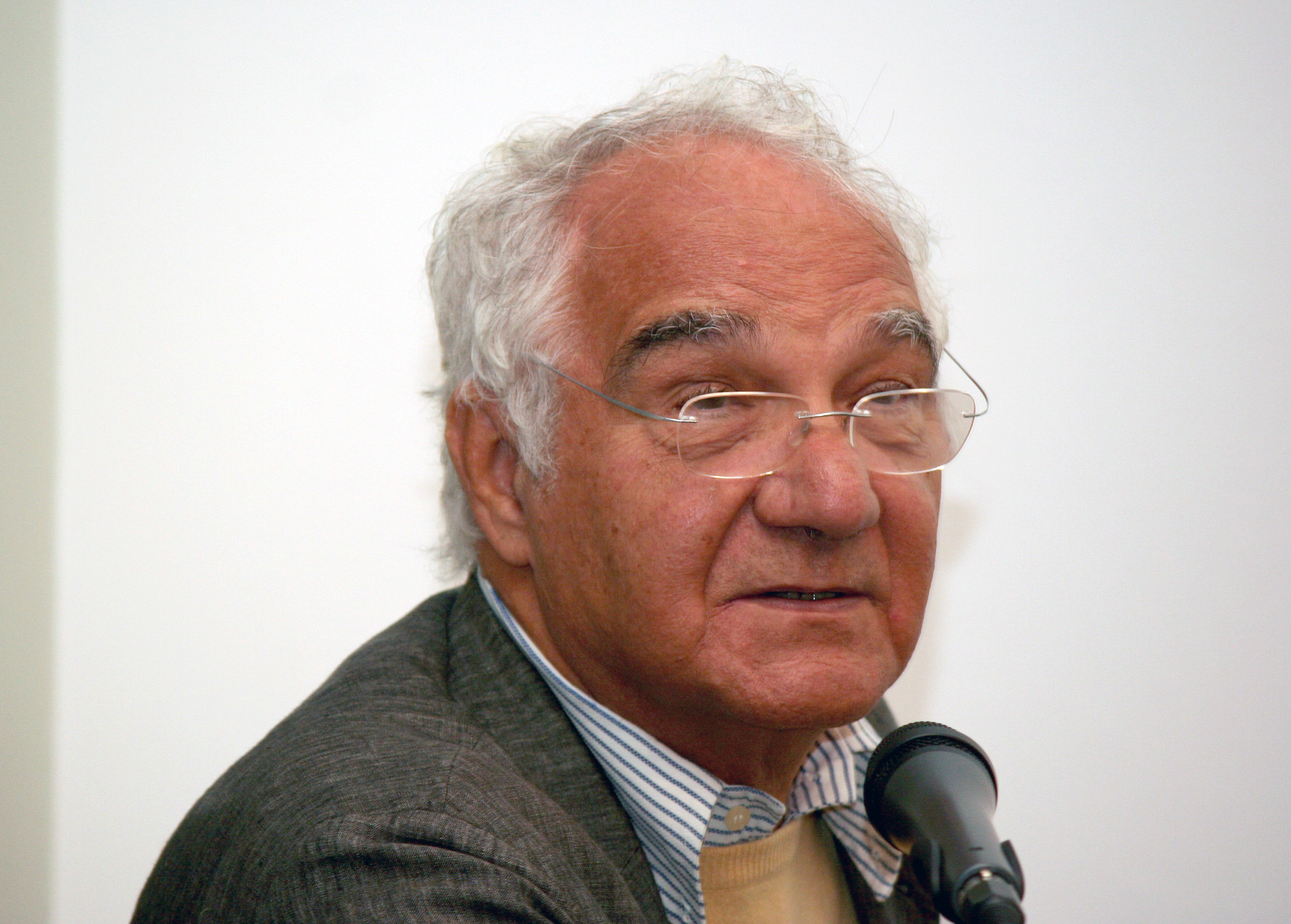 Pier Luigi Luisi