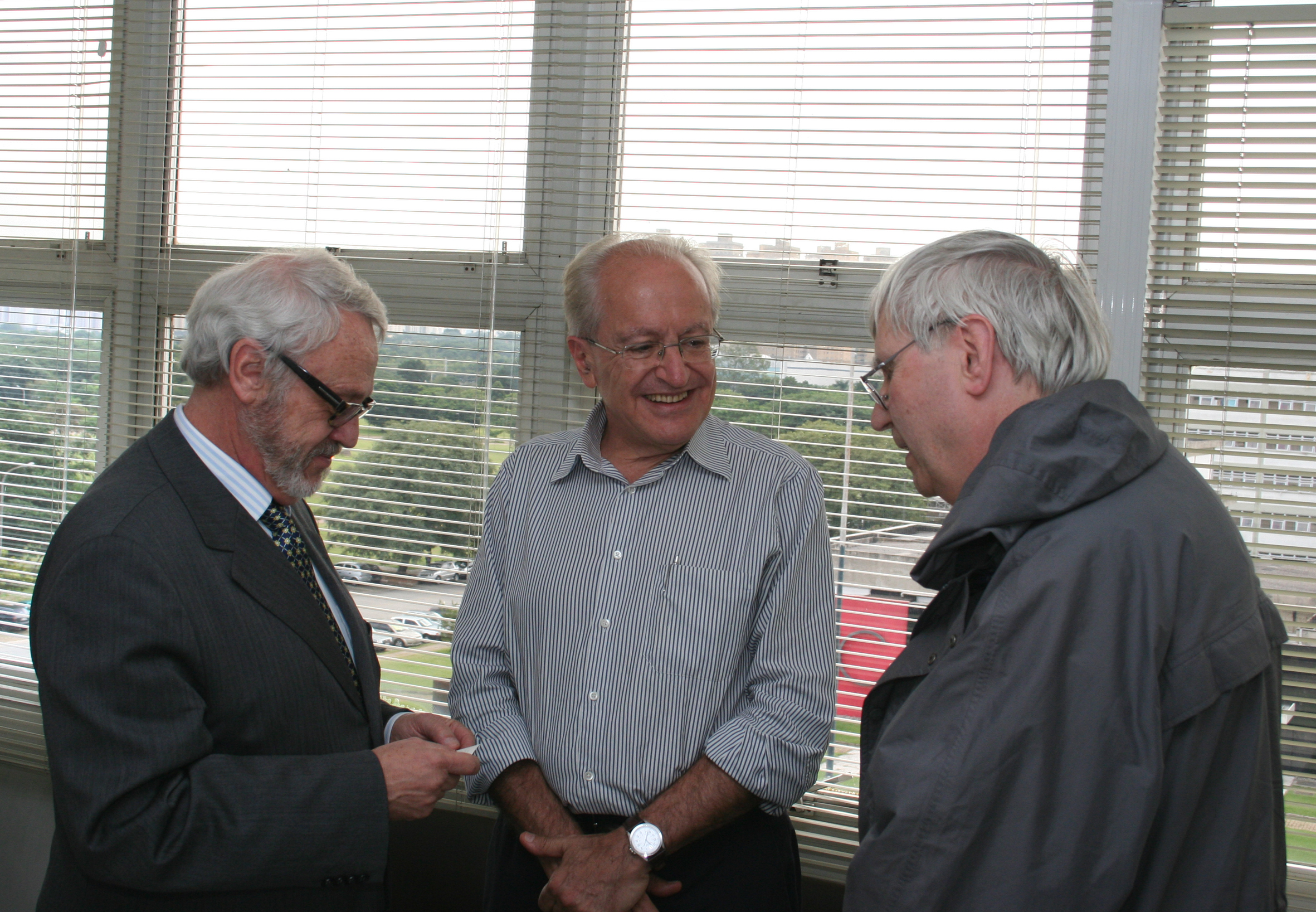 Adnei Melges de Andrade, César Ades e Peter Goddard