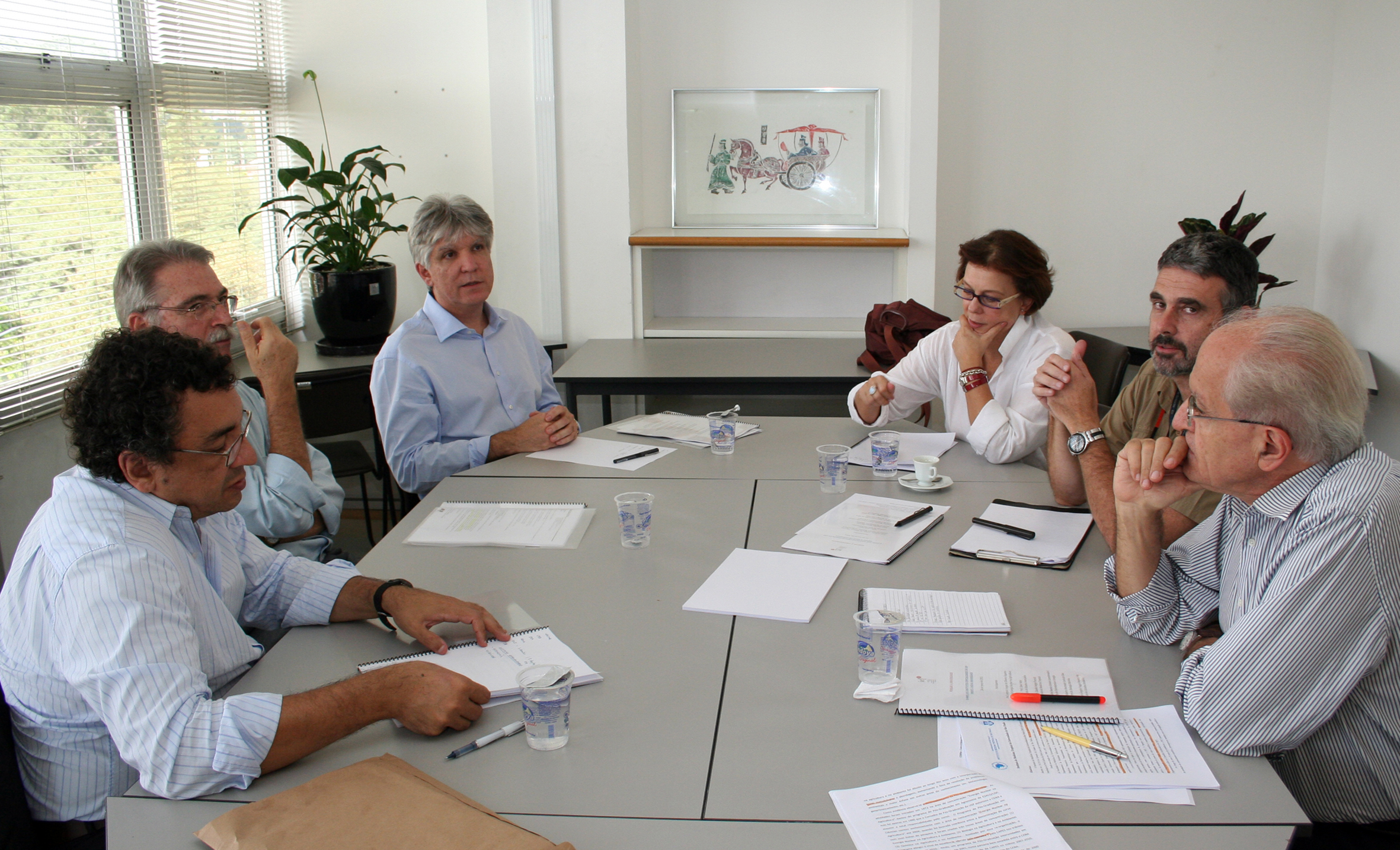 José Aquiles Baesso Grimoni (IEE/USP), Cláudio Sérgio Pannuti (IMT/USP), Antonio Vargas de Oliveira (CENA), Maria Ângela Faggin Pereira Leite (IEB), José Roberto Machado Cunha da Silva (Cebimar) e César Ades (IEA/USP)