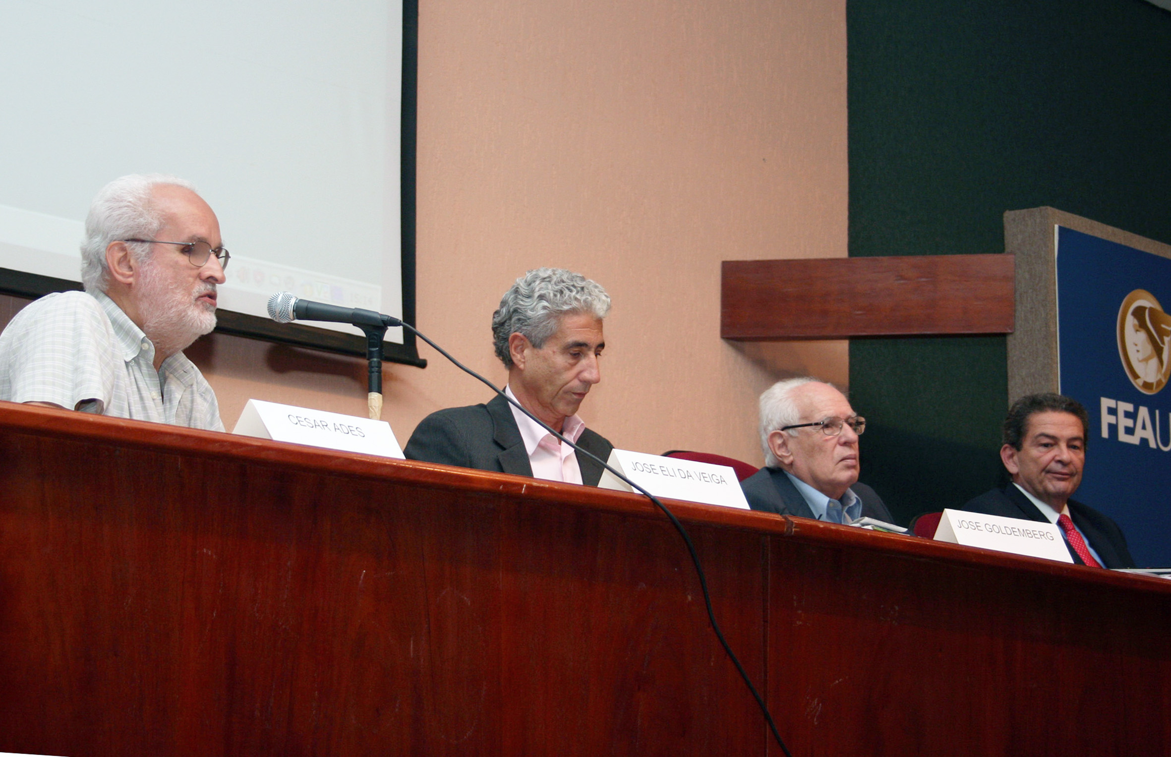Silvio Salinas, José Eli da Veiga, José Goldemberg e Leonan dos Santos Guimarães