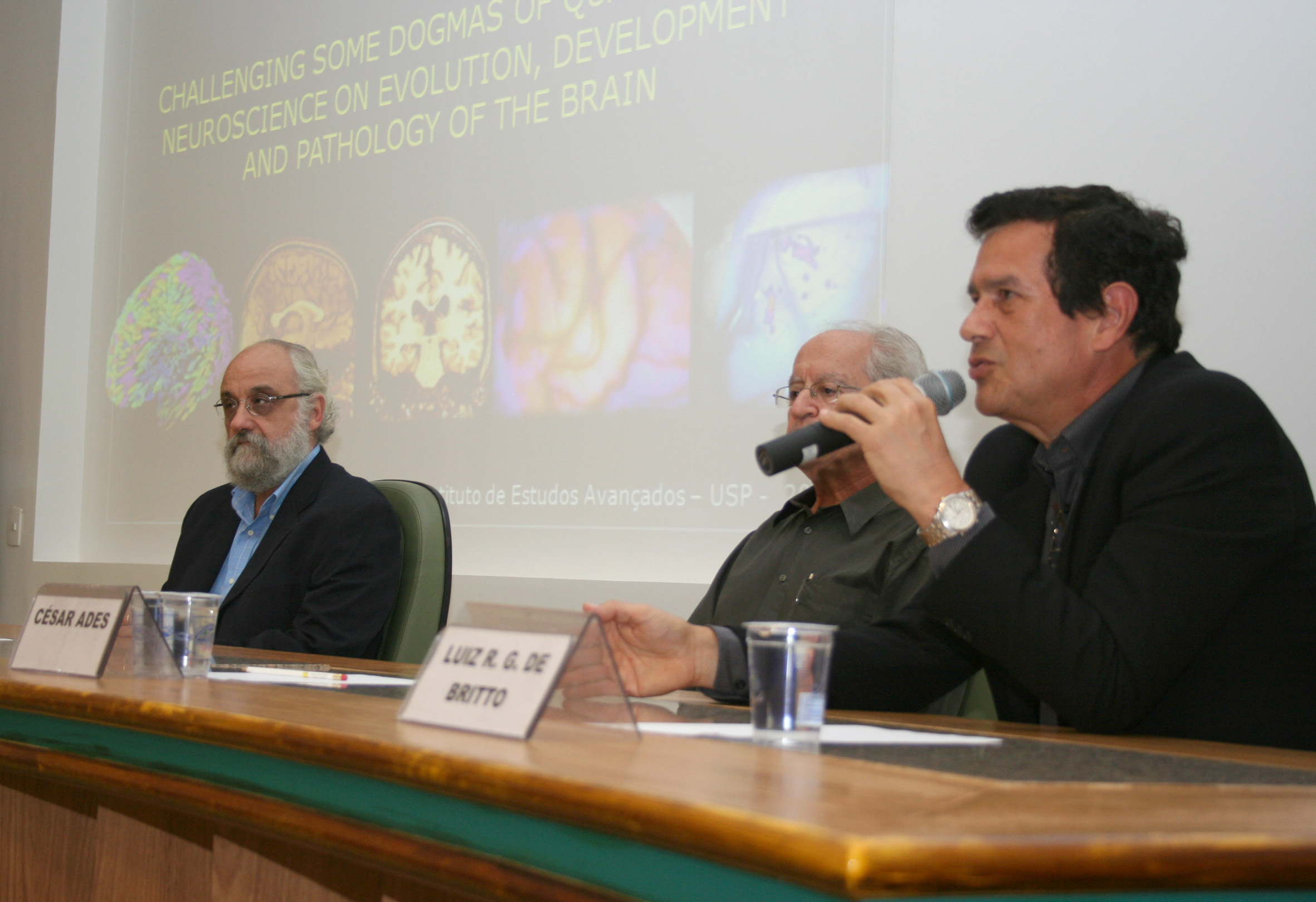 Roberto Lent, César Ades e Luiz Roberto Giorgetti de Brito