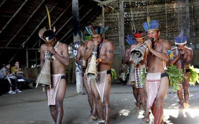 Viagem a amazônia - foto 11