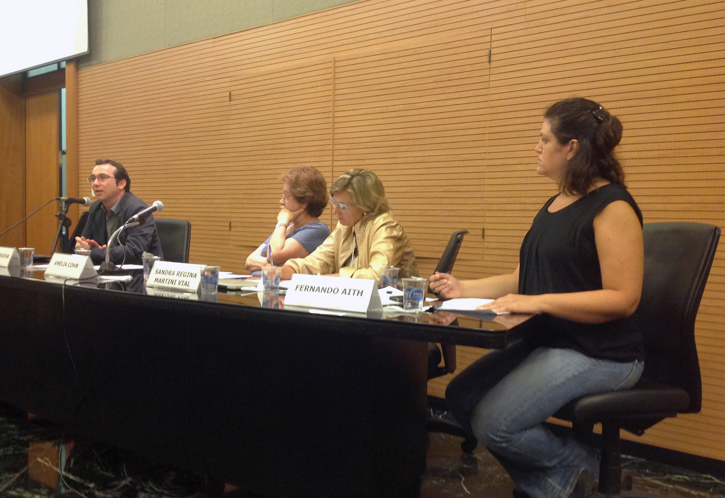 Fernando Aith, Amélia Cohn, Sandra Regina Martini Vial e Rossana Rocha Reis