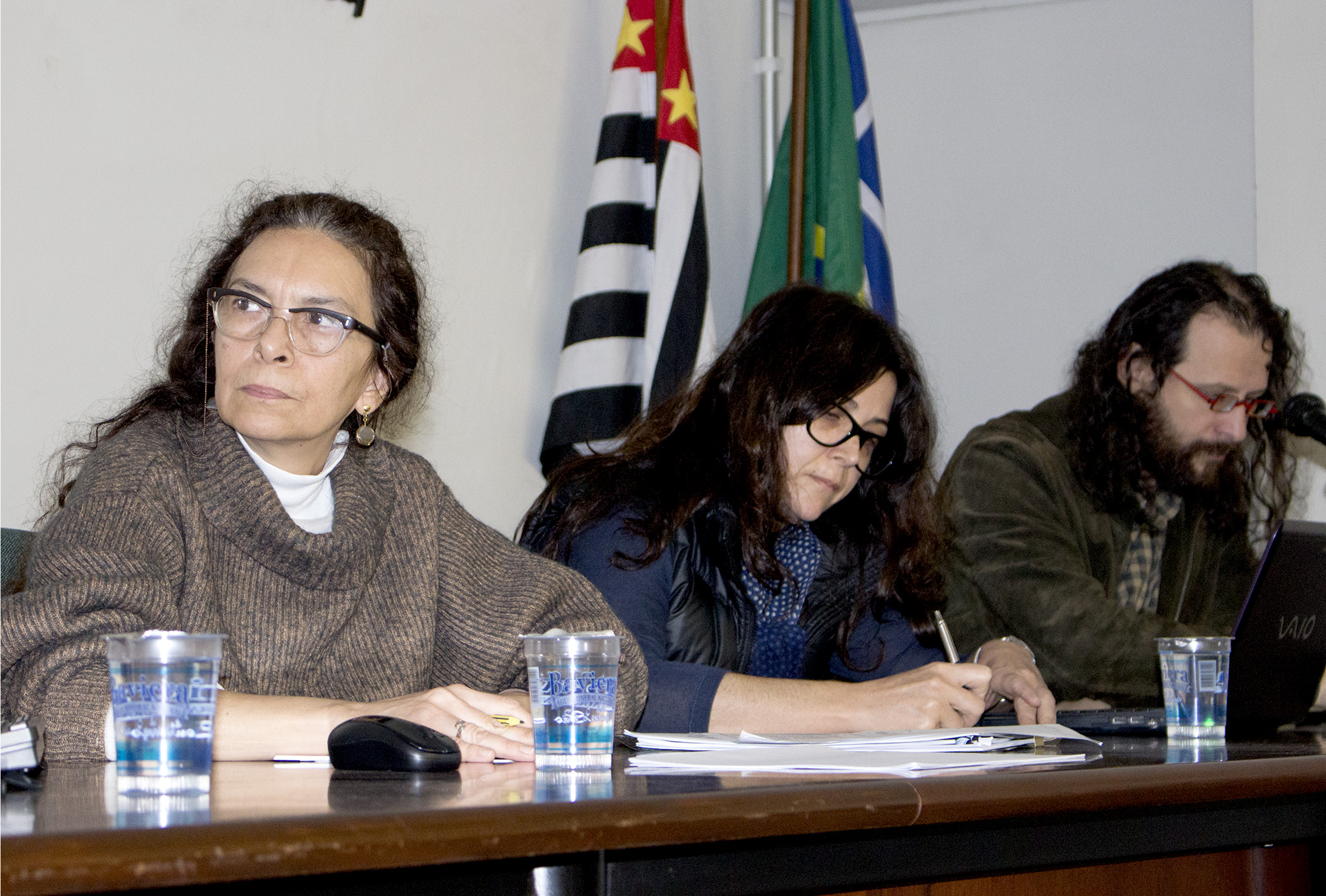 Telma Regina de Paula Souza, Silvina Brussino e Alessandro Soares da Silva