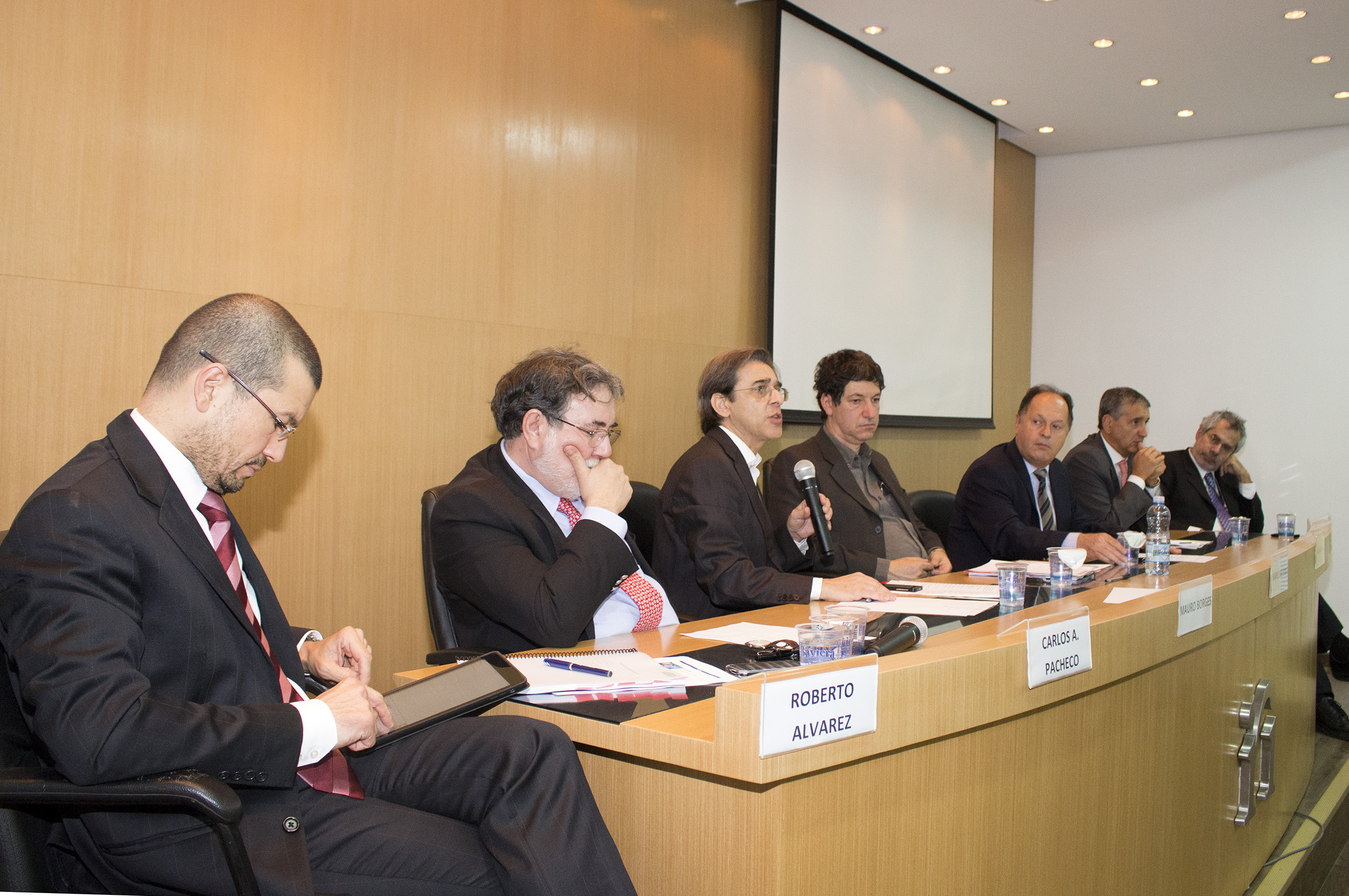Roberto dos Reis Alvarez, Carlos Américo Pacheco, Mauro Borges Lemos, Mario Sergio Salerno, Irani Varella, Marco Stefanini e Sergei Soares