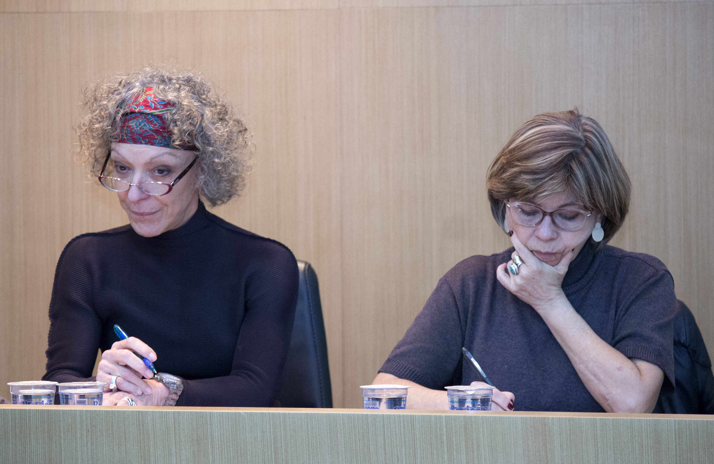 Vera da Silva Telles e Maria Alice Rezende de Carvalho