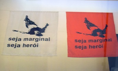 Uma obra de Hélio Oiticica historiada na fala de Tania Rivera.