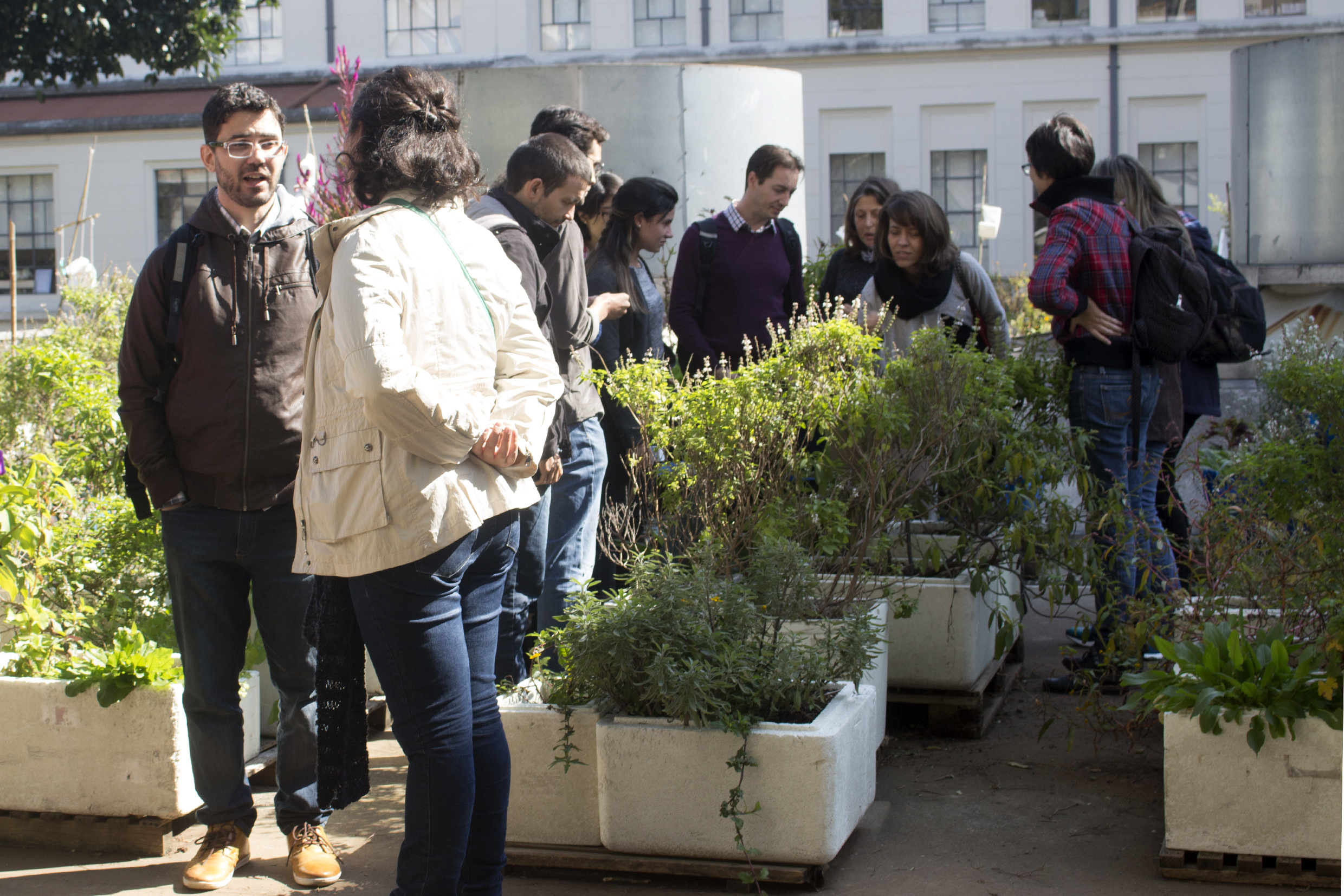 Horta da Faculdade de Medicina
