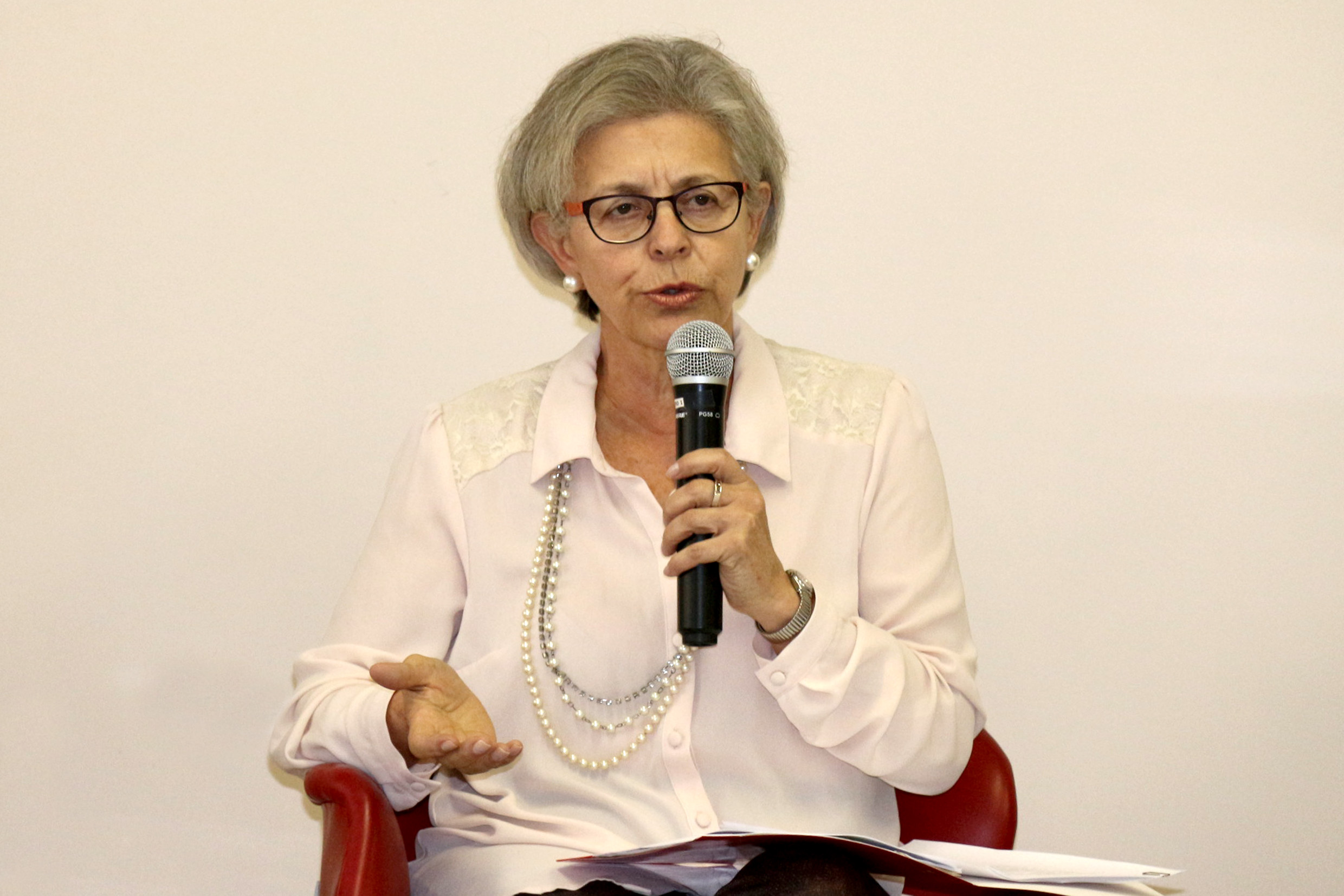 Neli Aparecida de Mello-Théry abre o evento e apresenta os expositores
