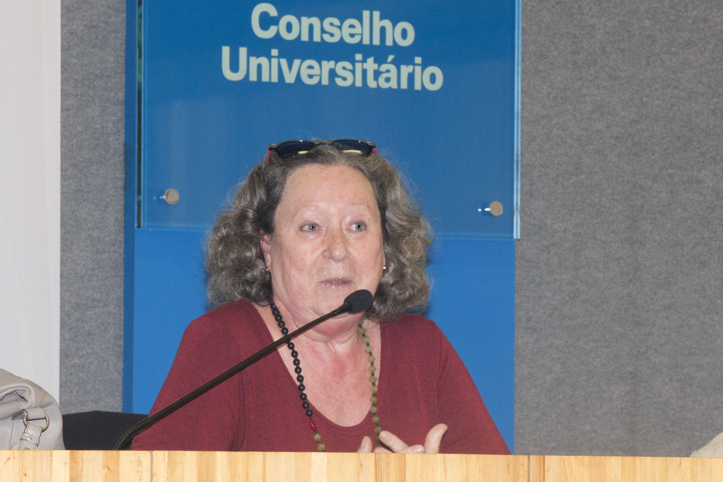Flavia Schilling abre o evento e apresenta os expositores da primeira mesa - 27/09/2016