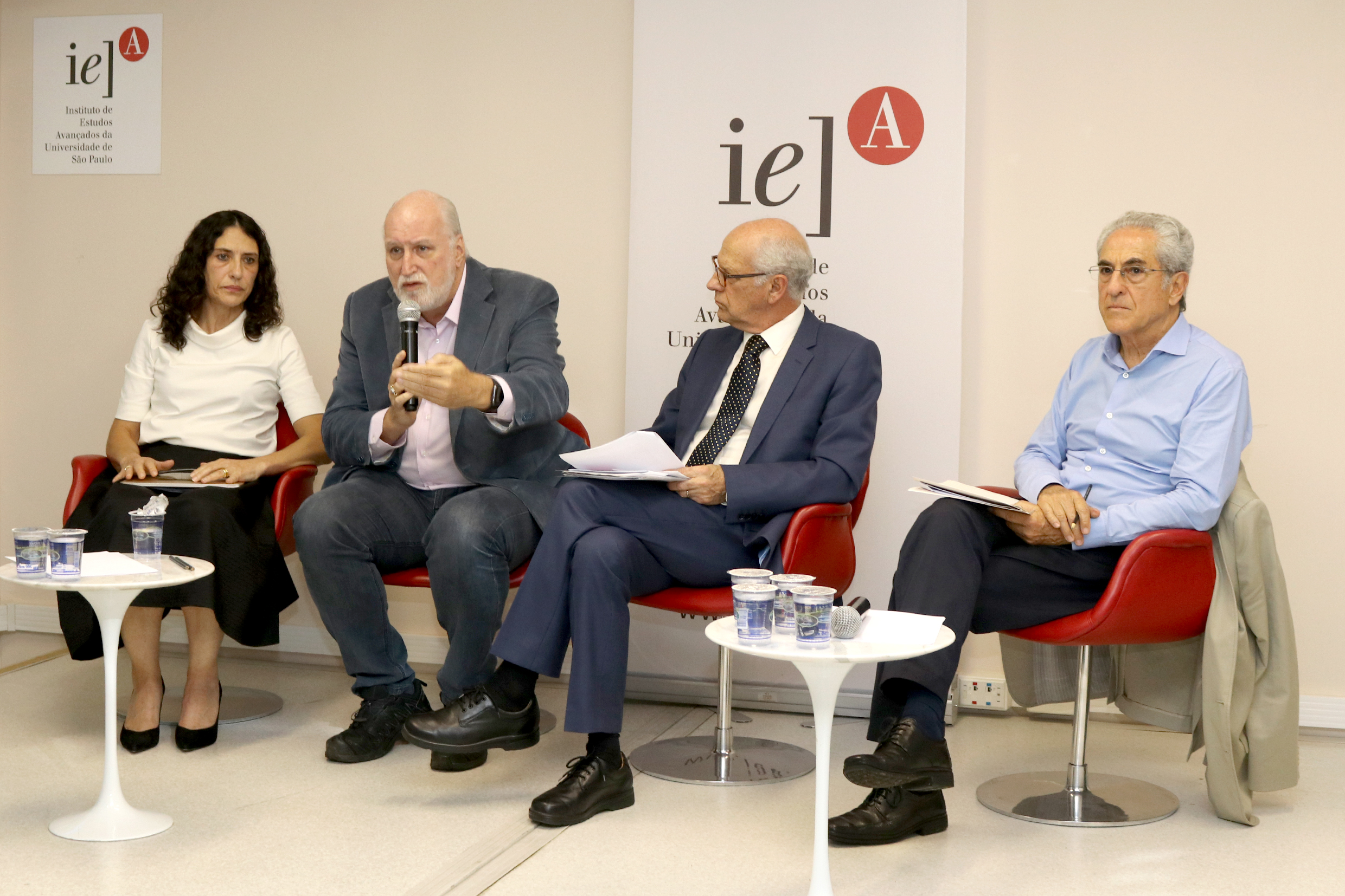 Eliane Pereira Zamith Brito, Ricardo Young, Arlindo Philippi Jr e Walter Lazzarini 