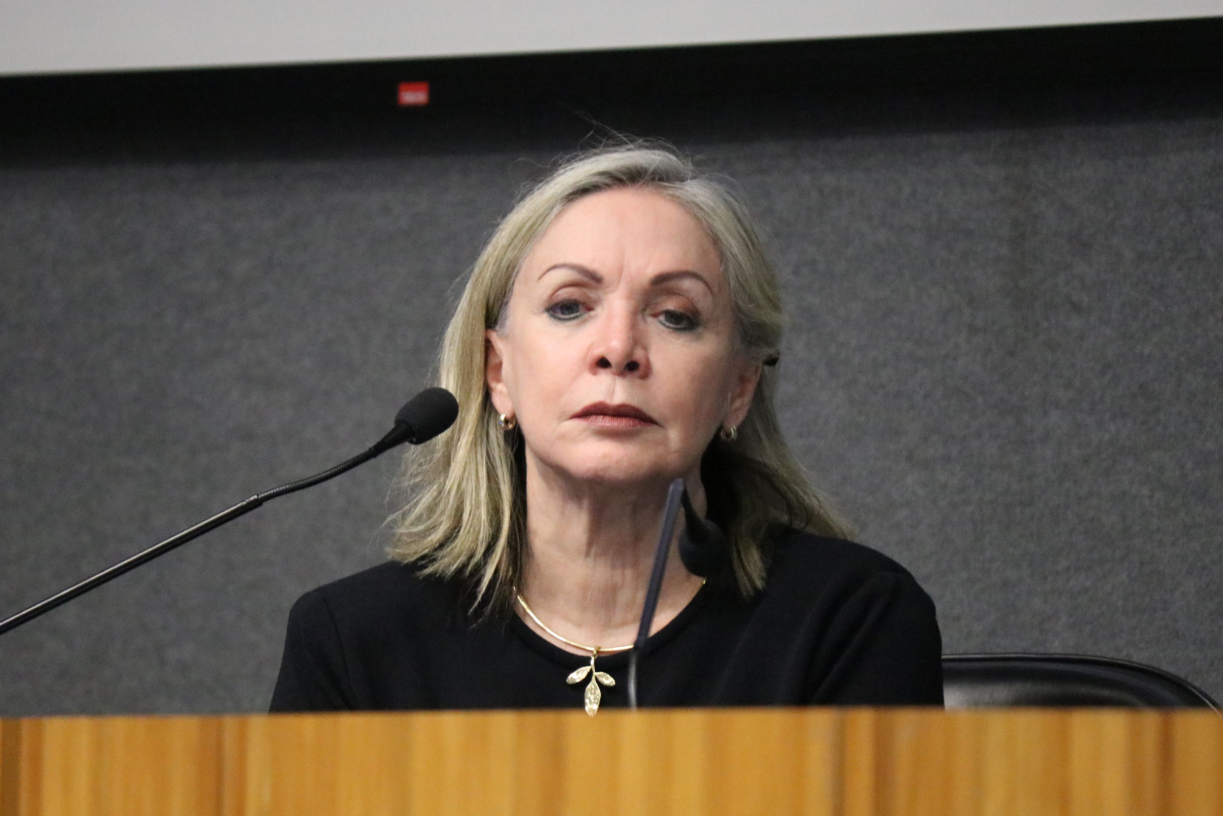 Maria Inês Fini