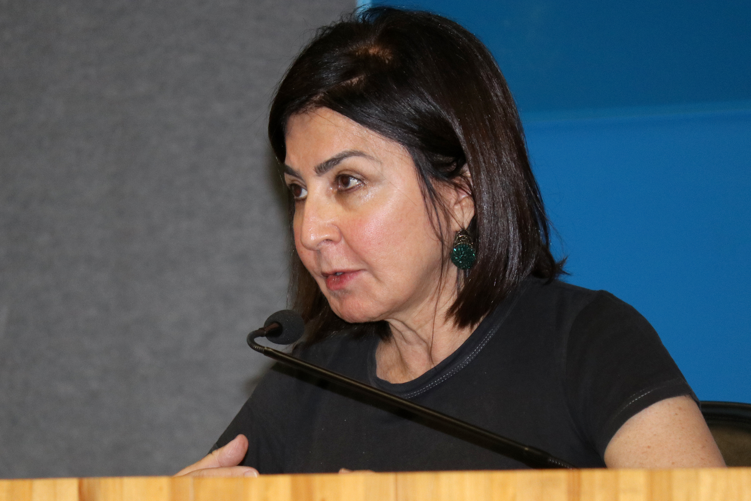 Sônia Salzstein