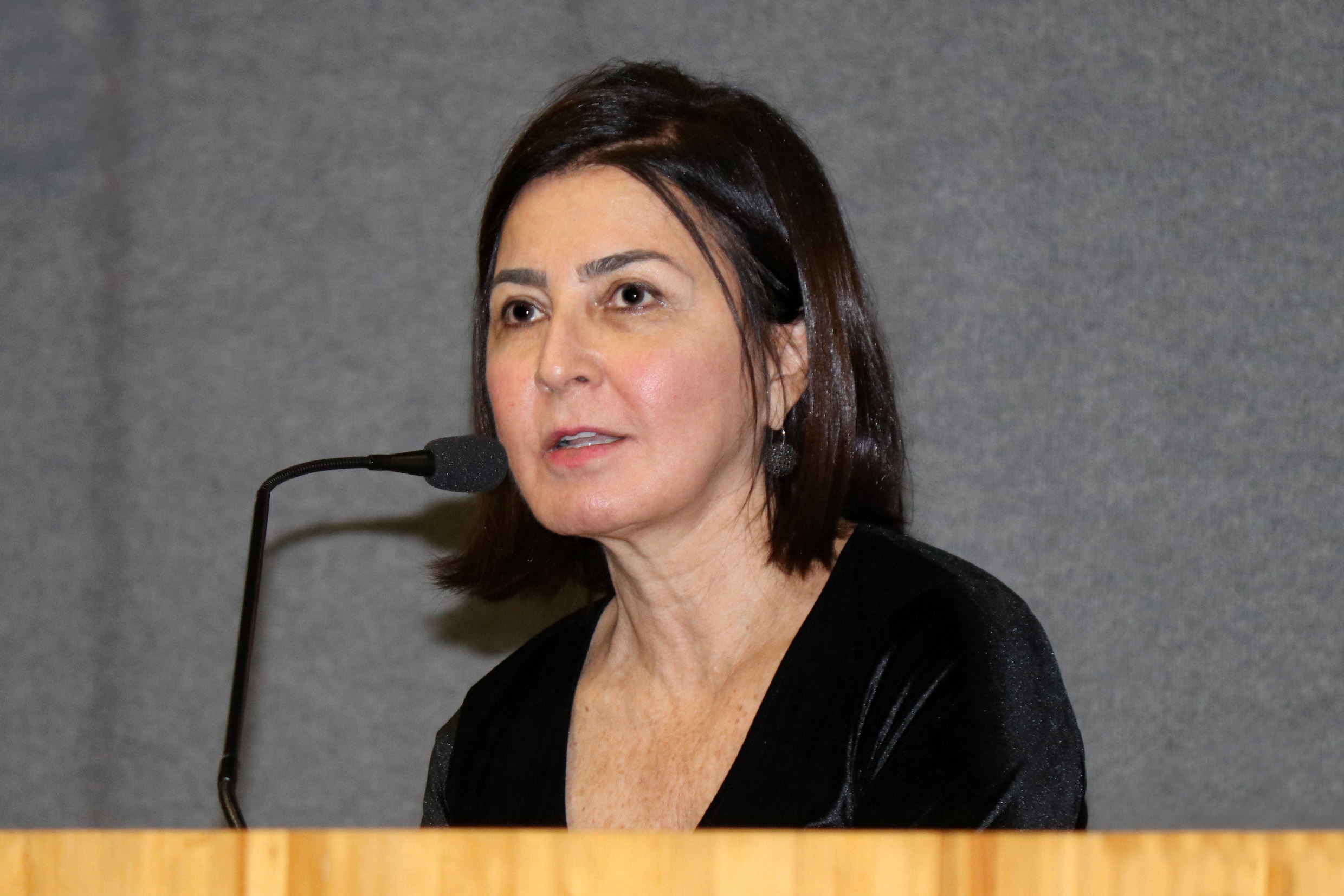 Sônia Salzstein