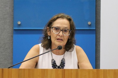 Ana Fani faz a abertura do evento e apresenta o expositor 