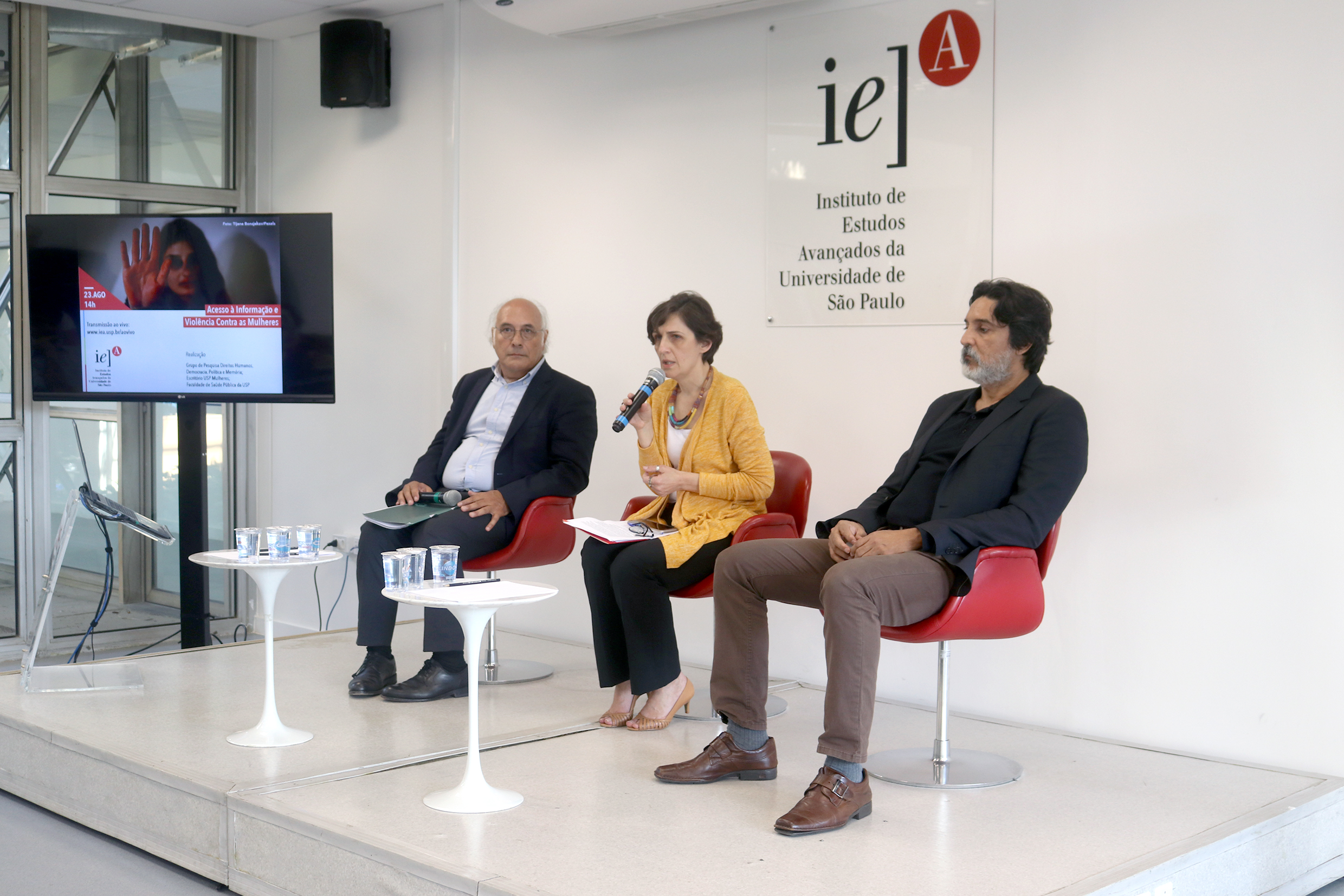 Manuel Lisboa, Wânia Pasinato e José Raimundo de Araújo Carvalho Jr