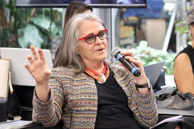 Anna Maria Medeiros Peliano fala durante o debate