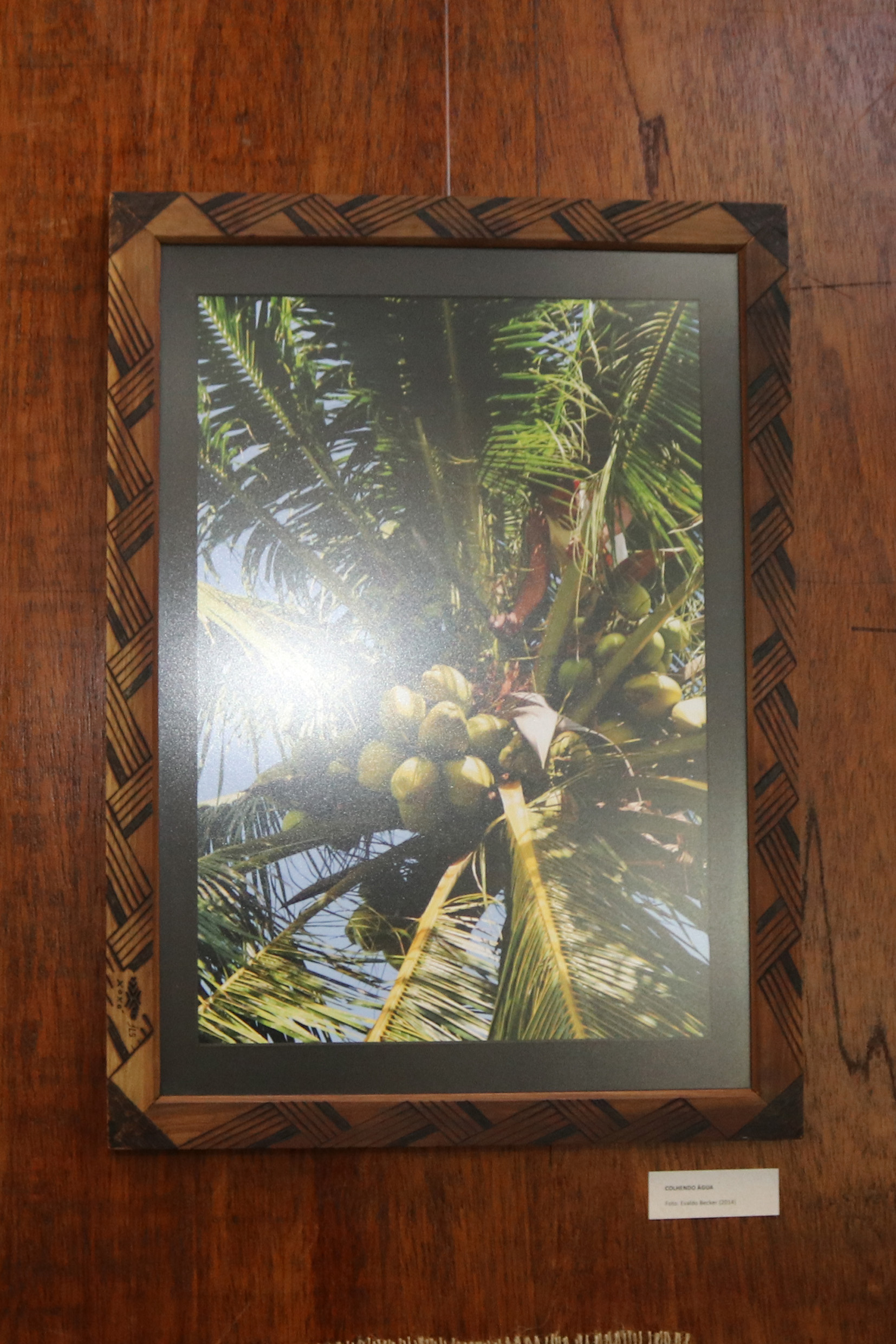 Fotos de Michele Amorim Becker e Evaldo Becker em exposição no Hall do IEA de 9 de agosto a 6 de setembro de 2018
