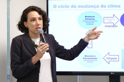 Mariana Xavier Nicolletti