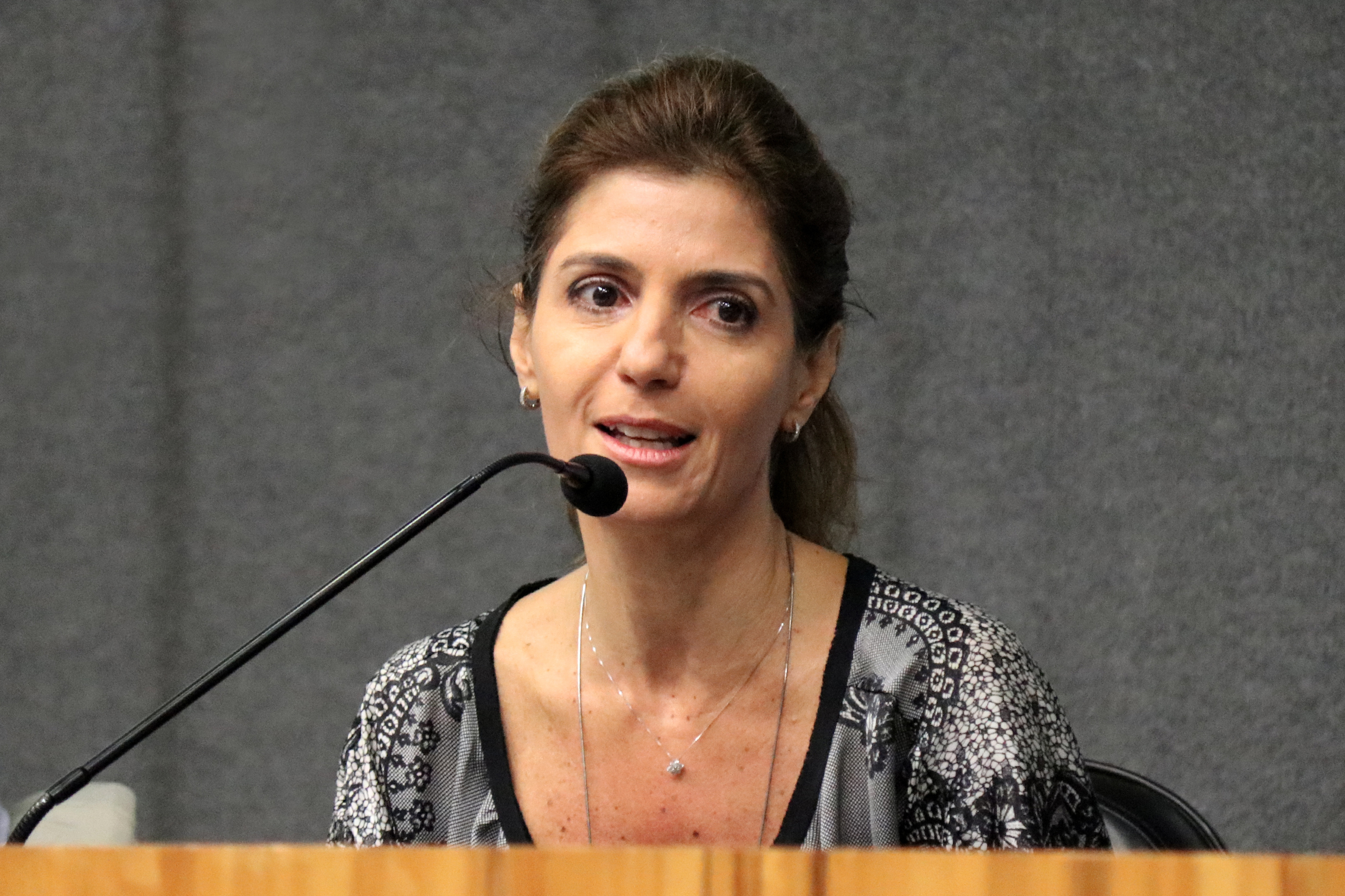 Ana Estela Haddad abre o evento e apresenta os expositores