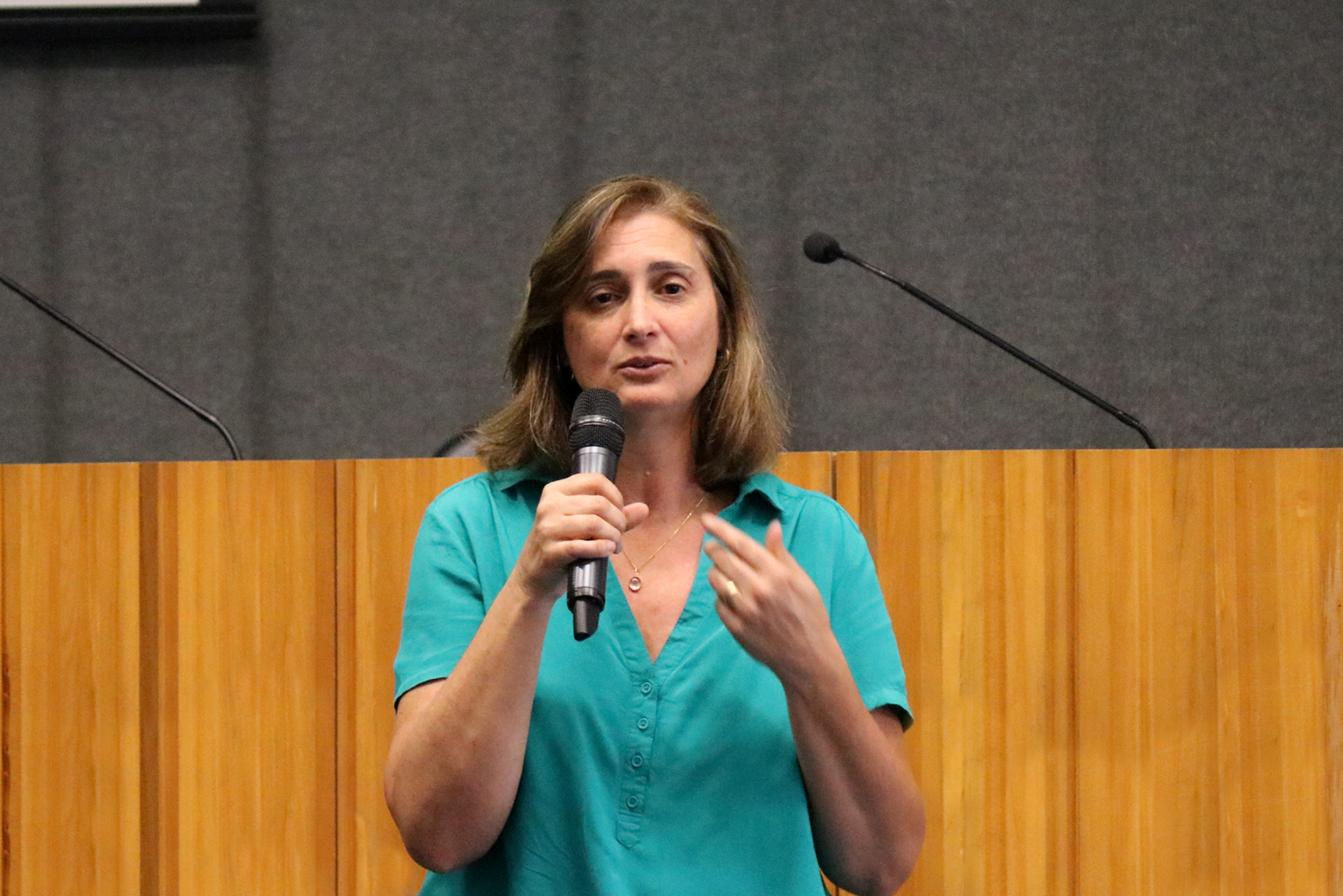 Denise Bacci 