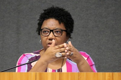 Rosana Paulino