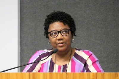 Rosana Paulino