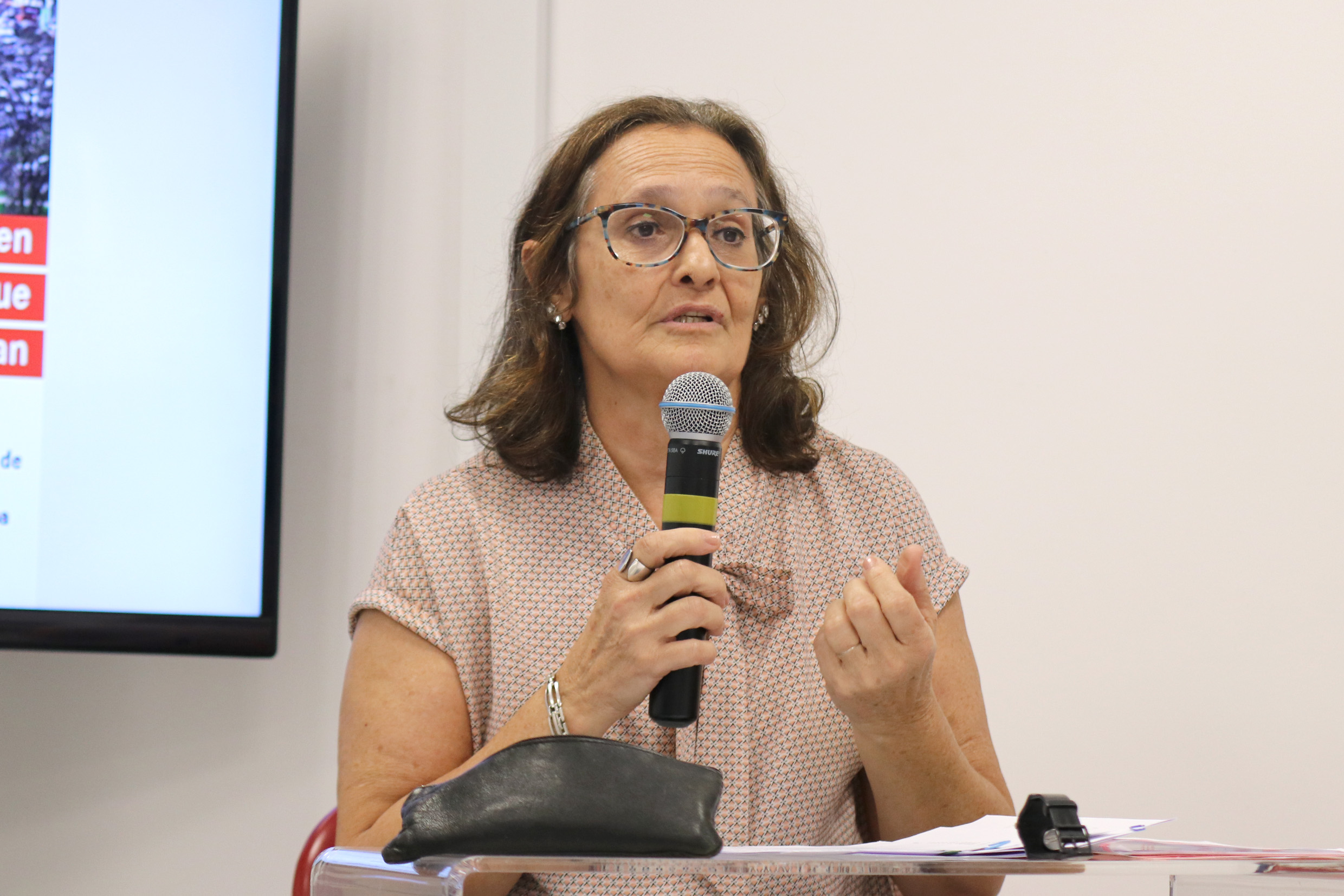 Ana Fani Alessandri Carlos abre o evento