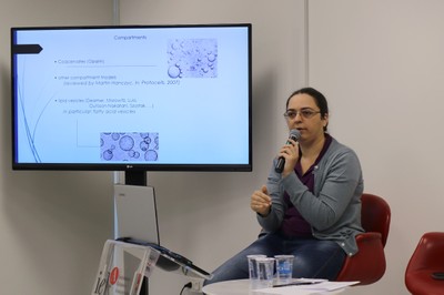 Tereza Pereira de Souza