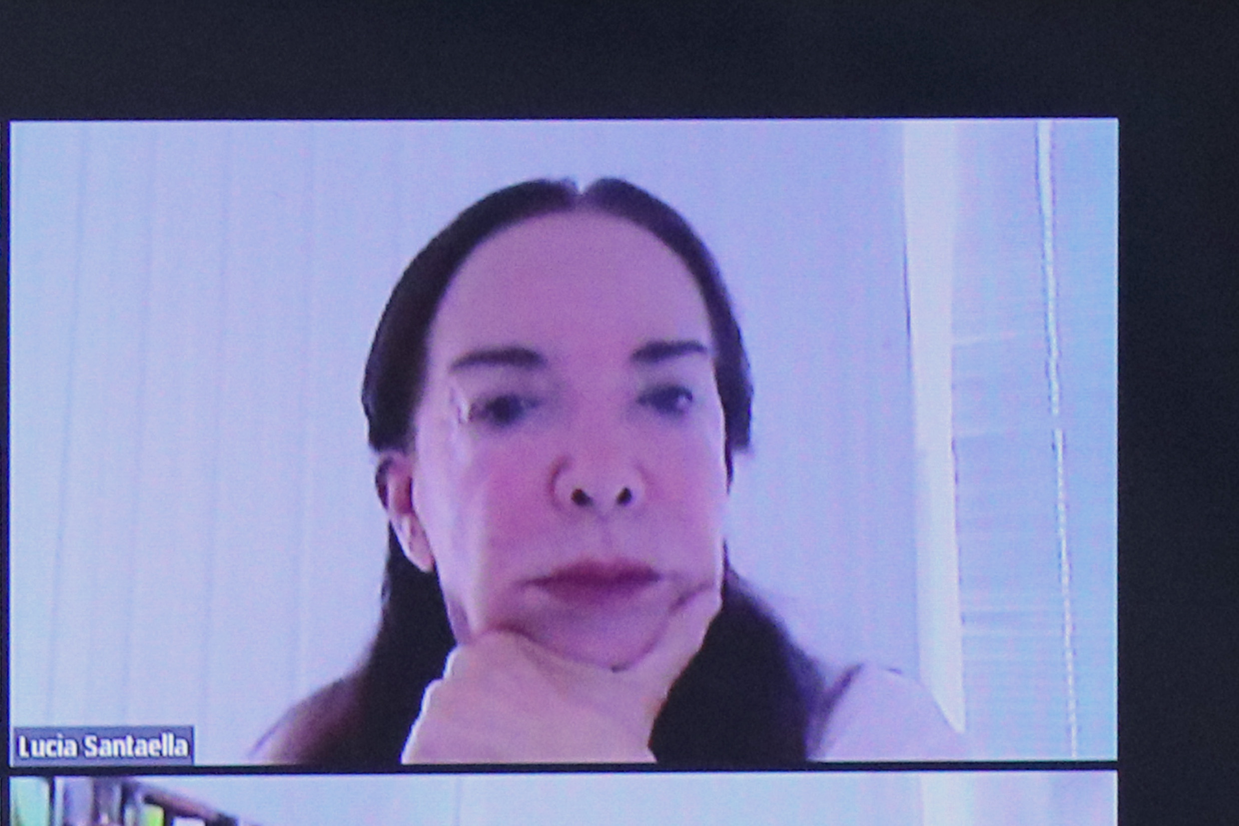 Lúcia Santaella, via vídeo-conferência