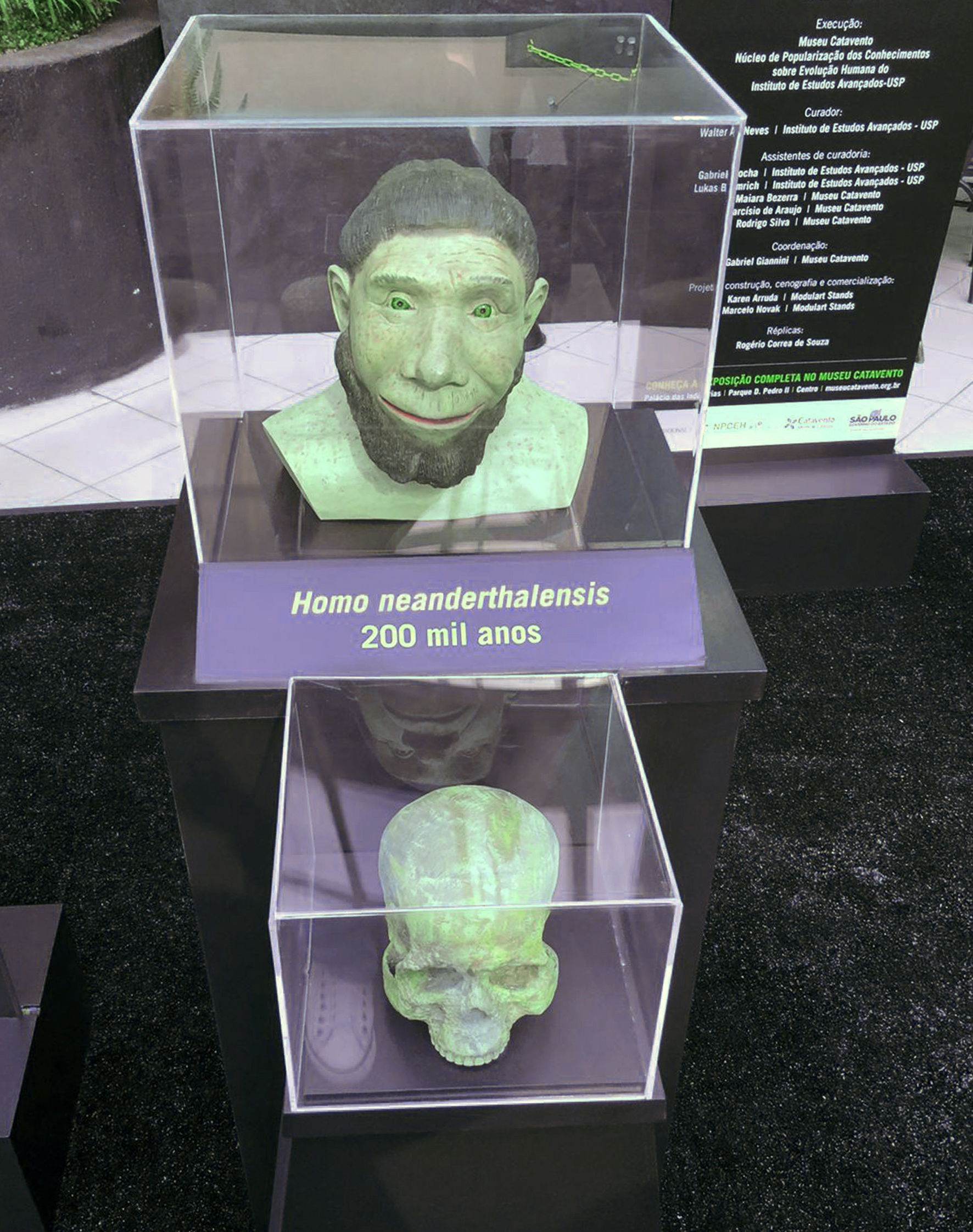 Exposição itinerante Do Macaco ao Homem