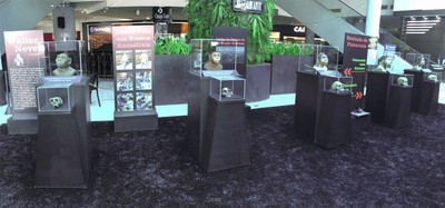 Exposição itinerante Do Macaco ao Homem