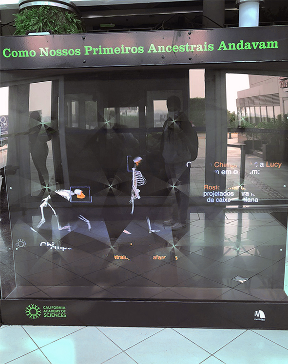 Exposição itinerante Do Macaco ao Homem