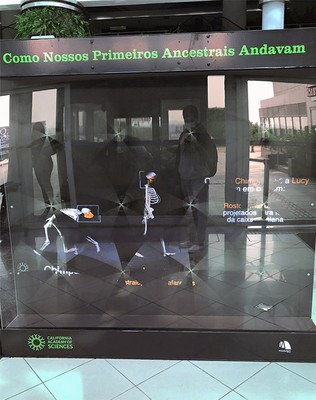 Exposição itinerante Do Macaco ao Homem