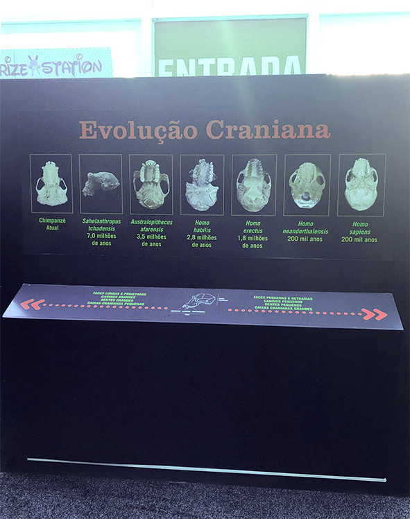 Exposição itinerante Do Macaco ao Homem