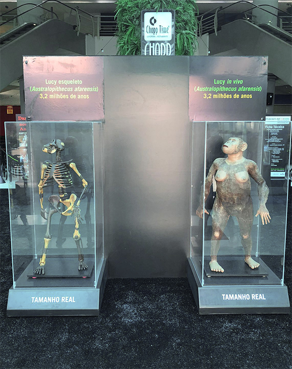 Exposição itinerante Do Macaco ao Homem