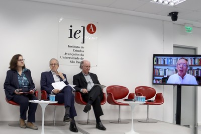 Roseli de Deus Lopes, João Paulo Capobianco e  Nilson Gabas Junior e Candido Bracher, via vídeo-conferência