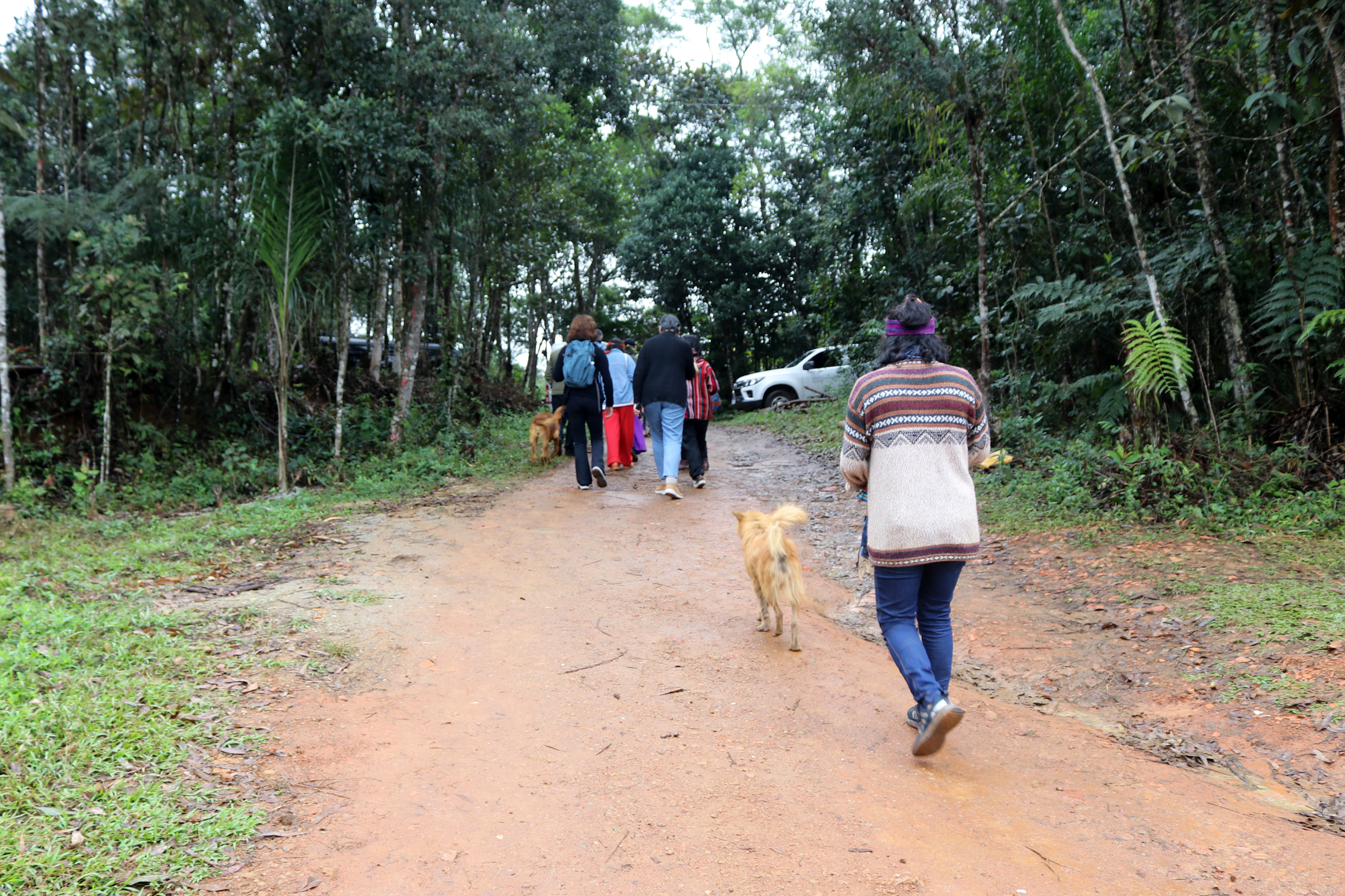 A caminho da roça