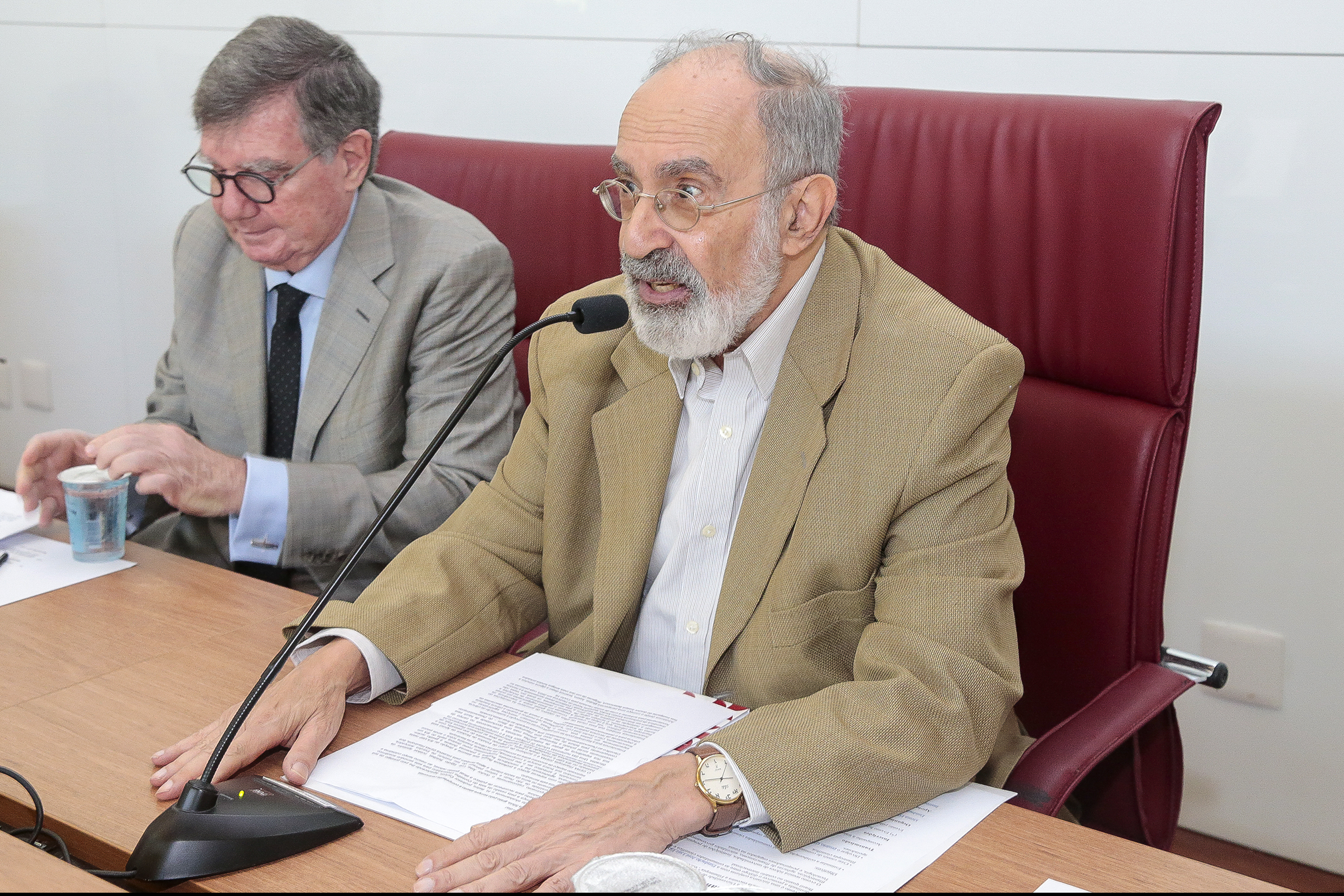 José Luiz Egydio Setubal e Guilherme Ary Plonski