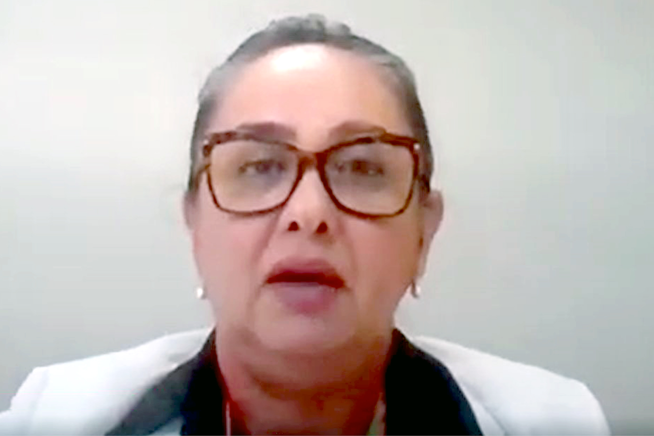 Adriana Brito da Silva, via videoconferência