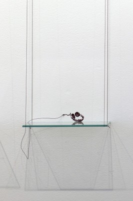 Obra de Sandra Boeschenstein