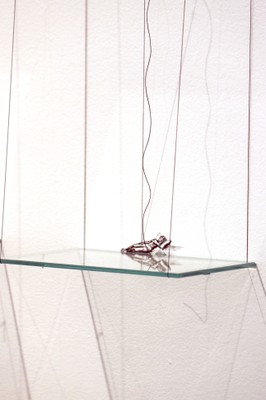 Obra de Sandra Boeschenstein
