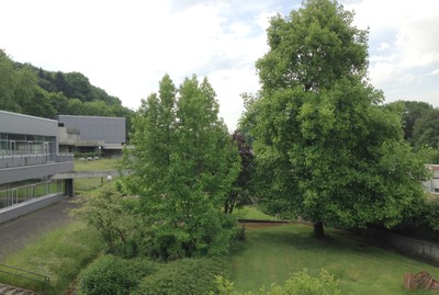 Bielefeld-13.jpg