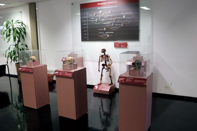 Exposição Ocupação Hominínia