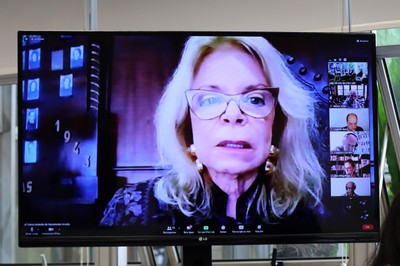 Maria Arminda do Nascimento Arruda participa via video conferência